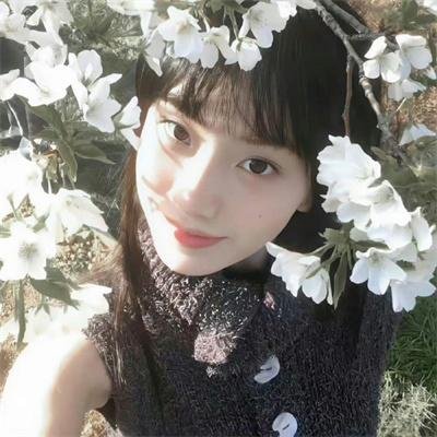 强捕犯